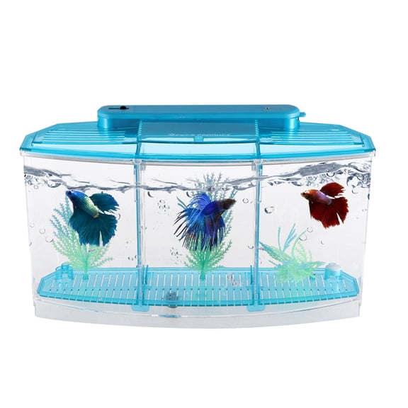 NICEXMAS Tiny Fish Tank Hatching Box Blue 1Pack