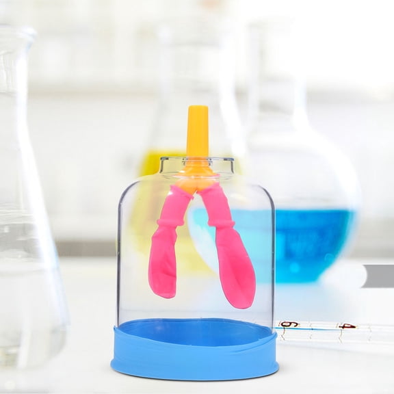 NICEXMAS Transparent Plastic Lung Anatomy Model for Educational Experiments Demonstrating Breathing Movement 6.5 Inches
