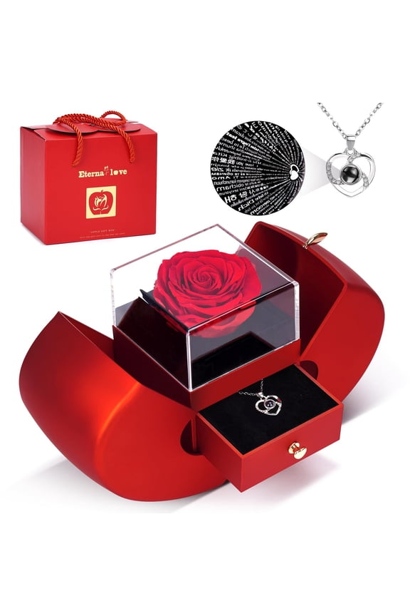 Christmas Necklace Gift for Girlfriend I Love You in 100 Languages Projection Pendant Necklace with Preserved Red Rose Flowers in Box for Women Mom Wife on Anniversary Birthday