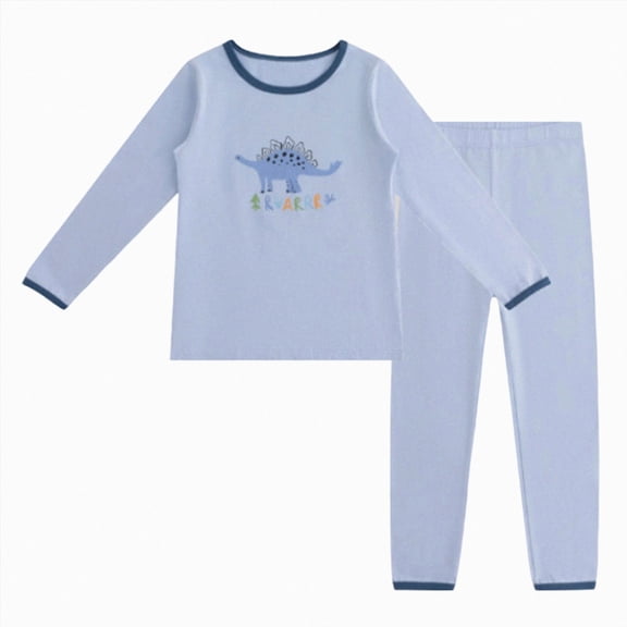 NIEWTR 2T-5T Kids Winter Clothes Toddler Long Sleeve T-Shirt & Comfy Long Pants Set Breathable Pajamas Gift Set Daily Loungewear 2-Piece Set(A-Blue,9-10 Years)
