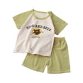 thumbnail image 1 of NIEWTR Baby Boy Summer Outfit Short Sleeve T Shirt Toddler Boy Summer Clothes Dailywear Set Summer Outfit (3-4 Years,Light Green), 1 of 4