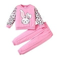 thumbnail image 1 of NIEWTR Baby Girl Outfit Sets Girls Clothes Casual Long sleeve Sweatshirt Pants Sets Sweatshirt Pullover Tops Jogger Pants Toddler Girl Outfit For 1t 2t 3t 4t 5t 6t,5-6 Years, 1 of 7