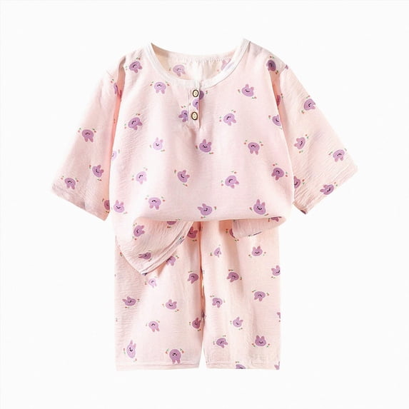 NIEWTR Baby Summer Outfits Children 2PC Summer Clothes Short Sleeve Pullover and Elastic Shorts Soft Pajamas Set for 6 12 18 24 Months 2T 3T Lightweight(A-Purple,4-5 Years)