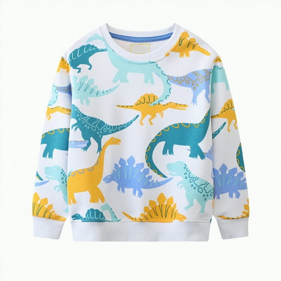 NIEWTR Little Girls Boys Casual Tunic Tops Long Sleeve Loose Soft Blouse T-Shirt Tunic Blouse Casual Pullover Sweatshirt Fall Winter Sweatshirts Long sleeved T-shirt for 2-3 Years