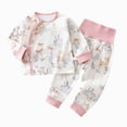 thumbnail image 1 of NIEWTR Matching Baby and Toddler Pajamas Girls 2-Piece Set Toddler Kids Long Sleeve Pullover with Elastic Waistband Pants Casual Sleepwear Daily for 2T 3T(A-Pink,6-9 Months), 1 of 6