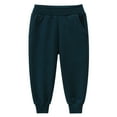 thumbnail image 1 of NIEWTR Toddler Boys Cargo Pants Casual Hiking Pants Joggers Sweatpants for Toddler Boys Fall Winter Pants for Boy 0-16 Years Fall Winter Pants,1-2 Years, 1 of 2