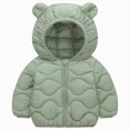 thumbnail image 1 of NIEWTR Toddler Boys Girls Casual Jackets Printing Cartoon Hooded Outerwear Zipper Coats Long Sleeve Windproof Coats, 1 of 8
