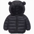 thumbnail image 1 of NIEWTR Toddler Boys Girls Casual Jackets Printing Cartoon Hooded Outerwear Zipper Coats Long Sleeve Windproof Coats, 1 of 7