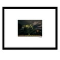 thumbnail image 1 of NIGHT TREE Framed Printed Photograph, 1 of 1