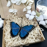 BOXCASA Bee Suncatcher Stained Glass Window Hangings Ornament Honeybee ...