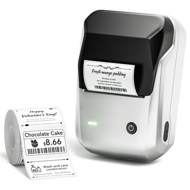 NIIMBOT B1 Label Makers, 2 Inch Bluetooth Label Maker Auto Identification Portable Label Printer (Silver)