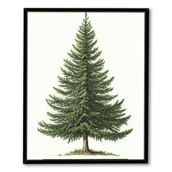 NIJIANKEHAN Pine Tree Prints, Winter Decor, Vintage Botanical Fir Christmas Decorations Tree Prints