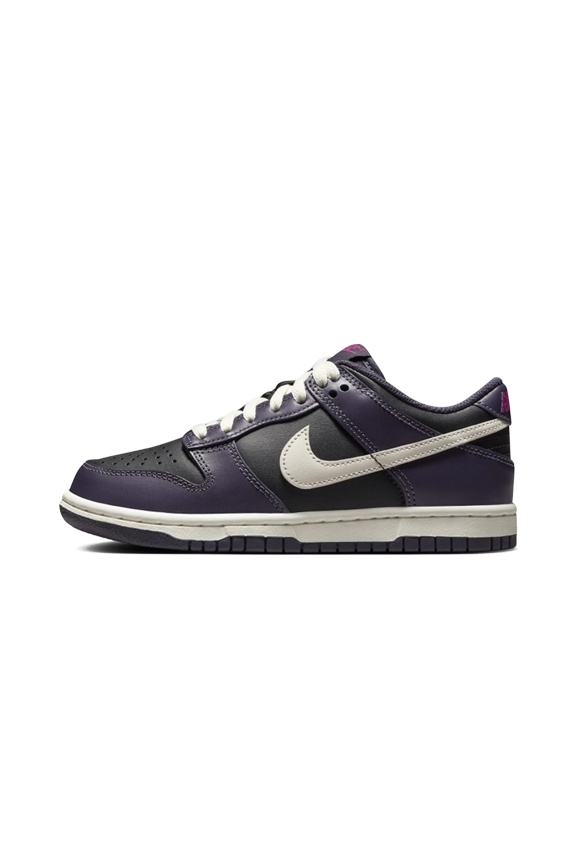 GRADE SCHOOL Dunk Low GS "Dark Raisin" FB9109 003 FB9109 003 from Stadium Goods