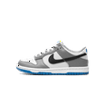 thumbnail image 1 of NIKE GRADE SCHOOL Dunk Low GS "Grey/Blue" FB9109 001 from Stadium Goods, 1 of 8