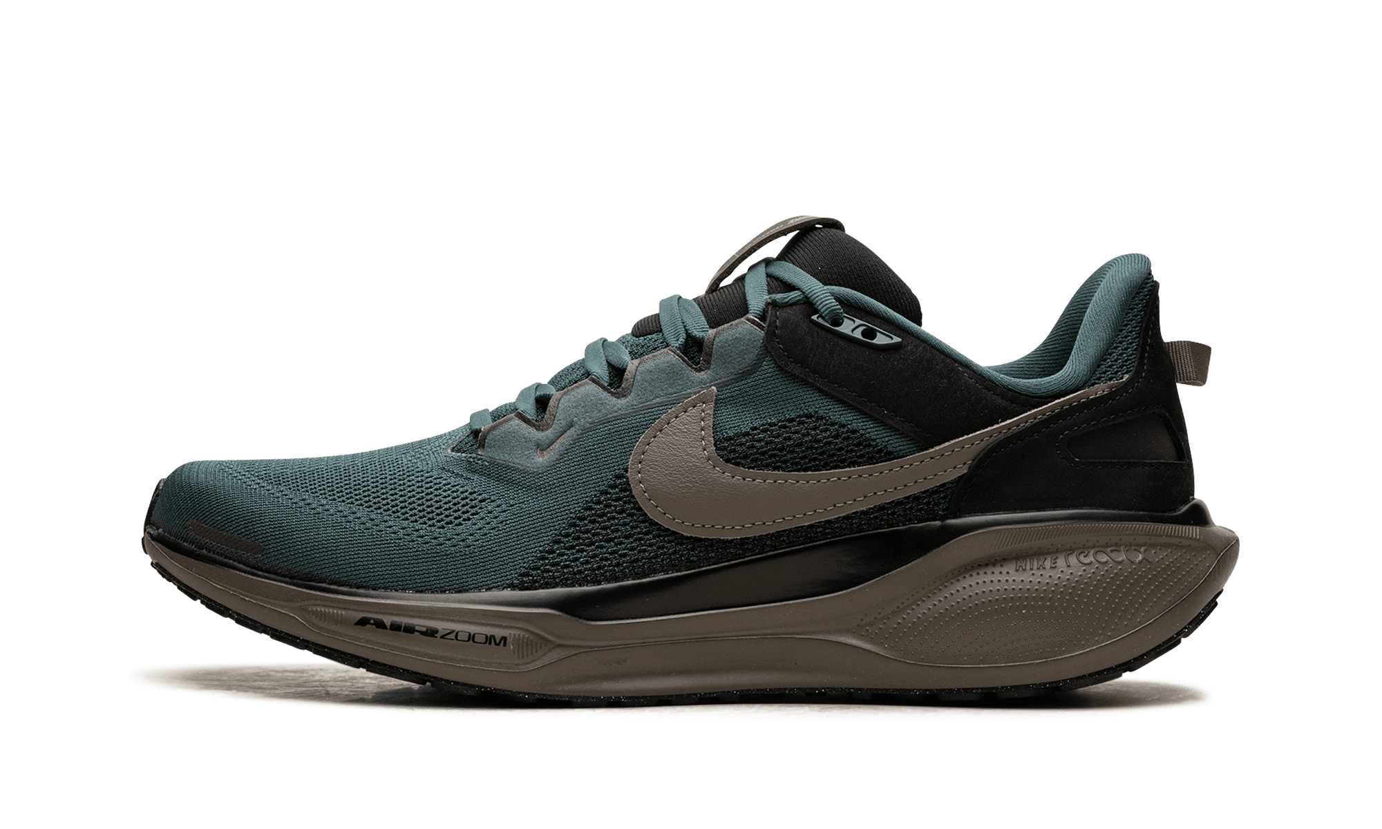 stadium nike zoom pegasus
