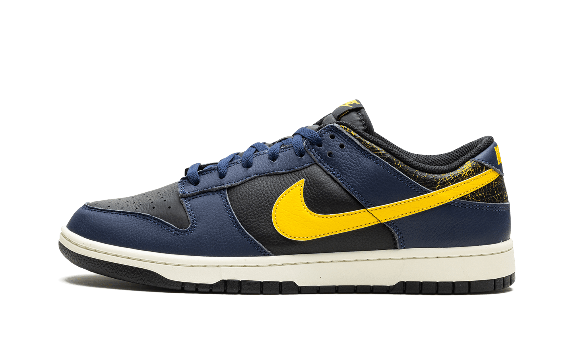 sb michigan dunks