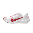 thumbnail image 1 of NIKE MENS Pegasus Plus "Platinum Tint University Red" FQ7262 003 FQ7262 003 from Stadium Goods, 1 of 8