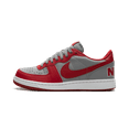 thumbnail image 1 of NIKE MENS Terminator "UNLV" FZ4036 099 from Stadium Goods, 1 of 8