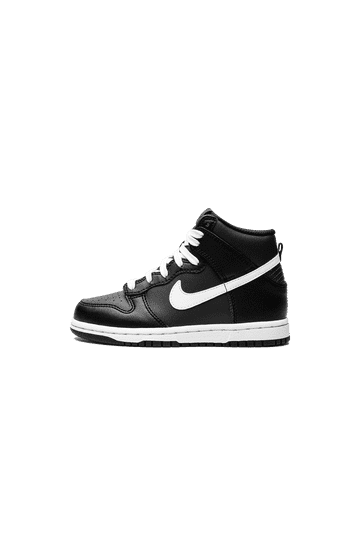 Panda Dunk Hi