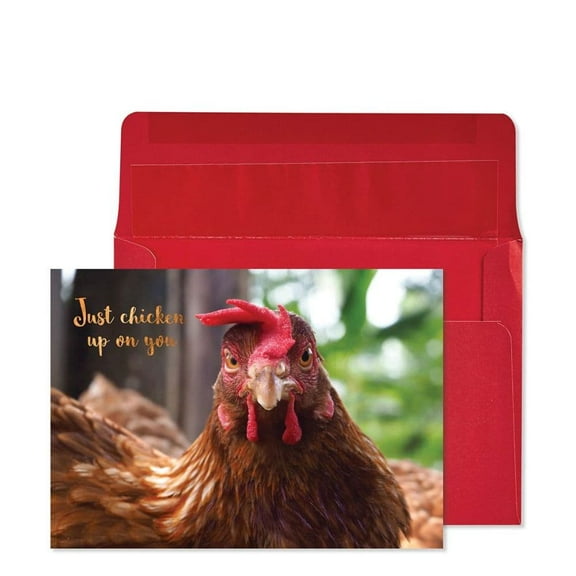 NIQUEA.D, Chicken Get Well Card