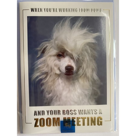NIQUEA.D, Zoom Meeting Dog Friendship Card