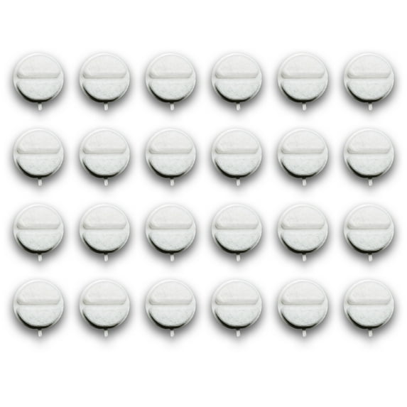 NISPIRA Triple Filtration Charcoal Water Filter for 84oz/2.5L Nugget Dog & Cat Water Fountain Dispenser 24 Pack