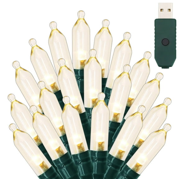 NITIDSKY Green Wire Christmas Lights 33ft 100 LED USB Plug Indoor Christmas Lights String,Warm White