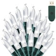 thumbnail image 1 of NITIDSKY Green Wire Christmas Lights 33ft 100 LED USB Plug Indoor Christmas Lights String,White, 1 of 8