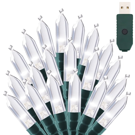 NITIDSKY Green Wire Christmas Lights 33ft 100 LED USB Plug Indoor Christmas Lights String,White