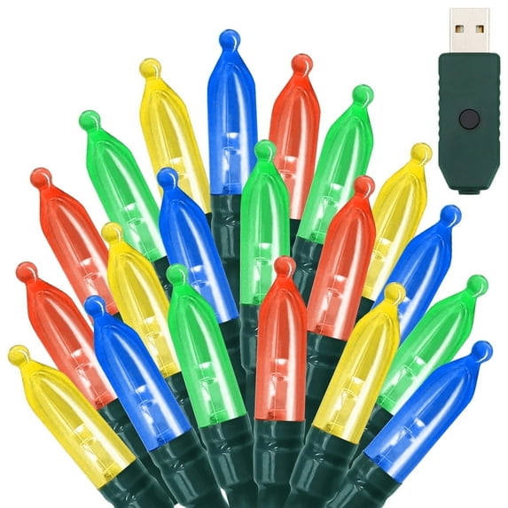 NITIDSKY 66ft 200 LED Christmas Lights USB Plug Green Wire Indoor Christmas Lights String,Multicolor