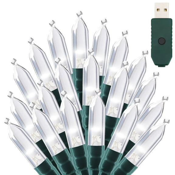 NITIDSKY 66ft 200 LED Christmas Lights USB Plug Green Wire Indoor Christmas Lights String,White