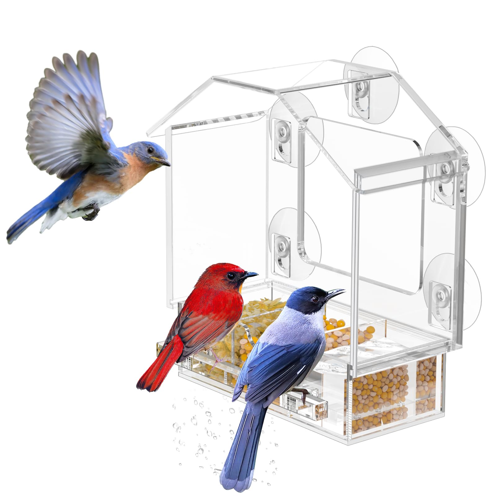 Grateful Gnome, Long Window Bird Feeder