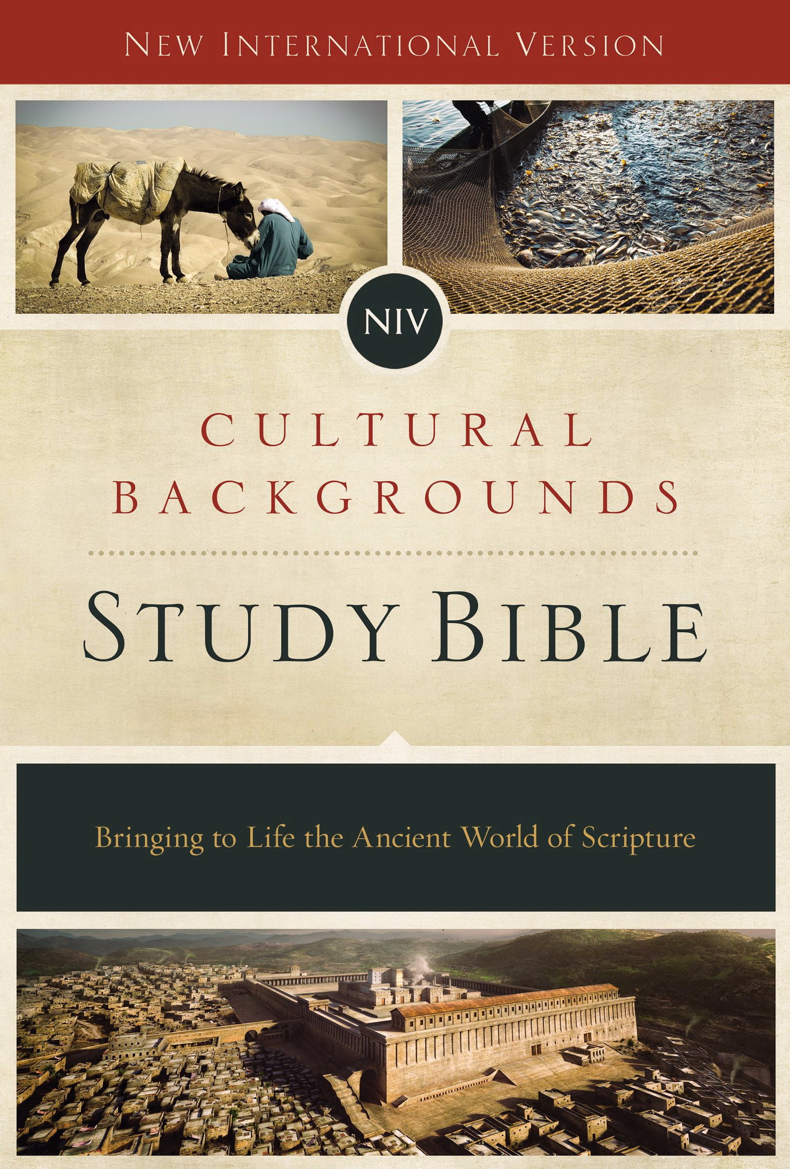 NIV Cultural Backgrounds Study Bible-Hardcover w/Jacket