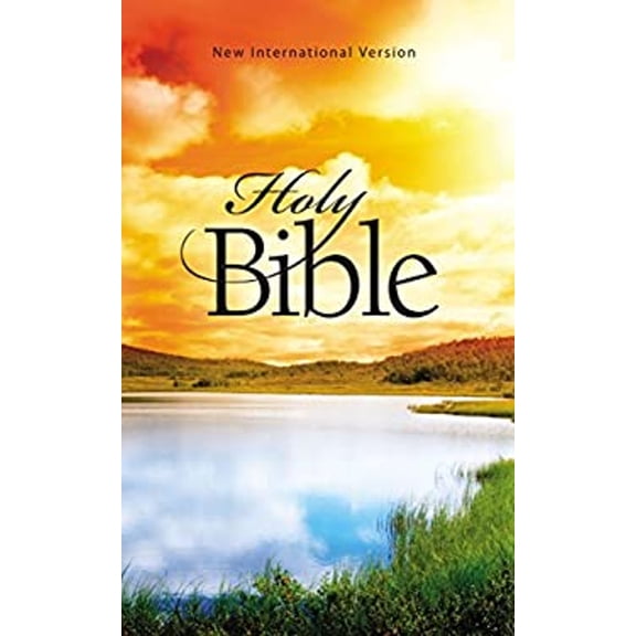Pre-Owned NIV, Outreach Bible, Paperback (Paperback) 1563207613 9781563207617