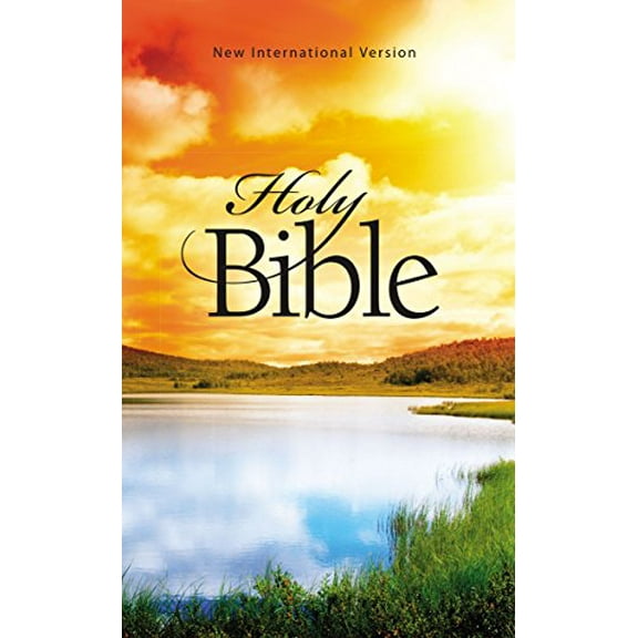 Pre-Owned NIV, Outreach Bible, Paperback (Paperback) 1563207613 9781563207617