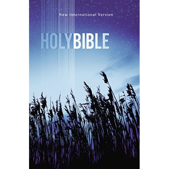 Pre-Owned NIV, Outreach Bible, Paperback, Blue (Paperback) 1563205777 9781563205774