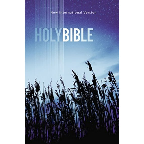 Pre-Owned NIV, Outreach Bible, Paperback, Blue (Paperback) 1563205777 9781563205774