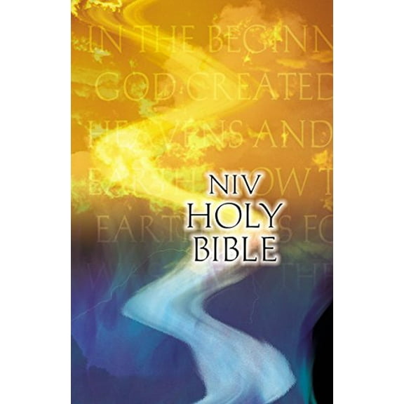 Pre-Owned NIV Outreach Bible (Paperback) 1563201100 9781563201103