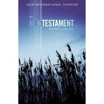 Pre-Owned NIV, Outreach New Testament, Large Print, Paperback (Paperback) 0310446430 9780310446439