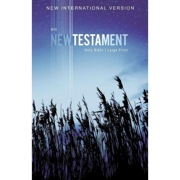 NIV, Outreach New Testament, Large Print, Paperback (Paperback)