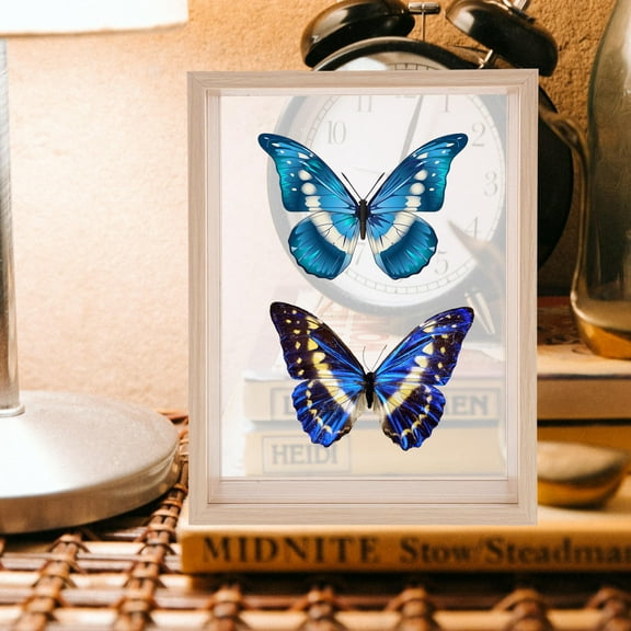 NIYANGLE 1Set Dried Frames Shadow Box Display Frame Simple Chic Design For People Who Value Memories