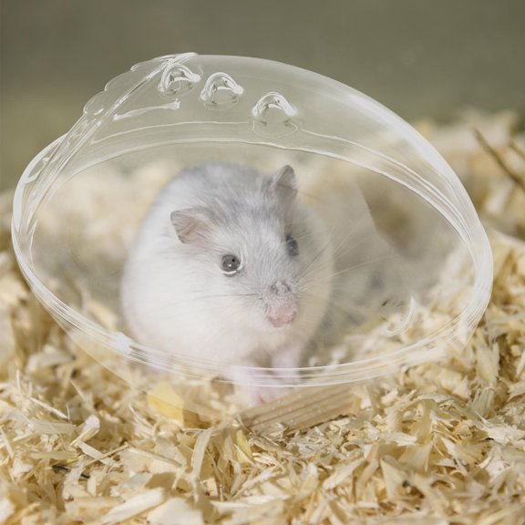 NIYANGLE Small Pet Clear Sand Bath Box with Break Resistant Acrylic for Hamsters and Chinchillas