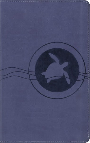 Pre-Owned Adventure Bible for Early Readers-NIRV (Unknown) 0310745292 9780310745297
