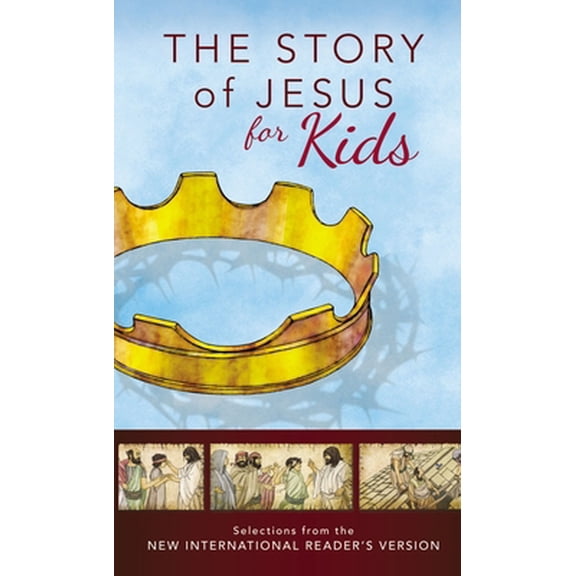 Pre-Owned Nirv, the Story of Jesus for Kids, Paperback: Experience the Life of Jesus as One Seamless Story (Paperback) 031074380X 9780310743804