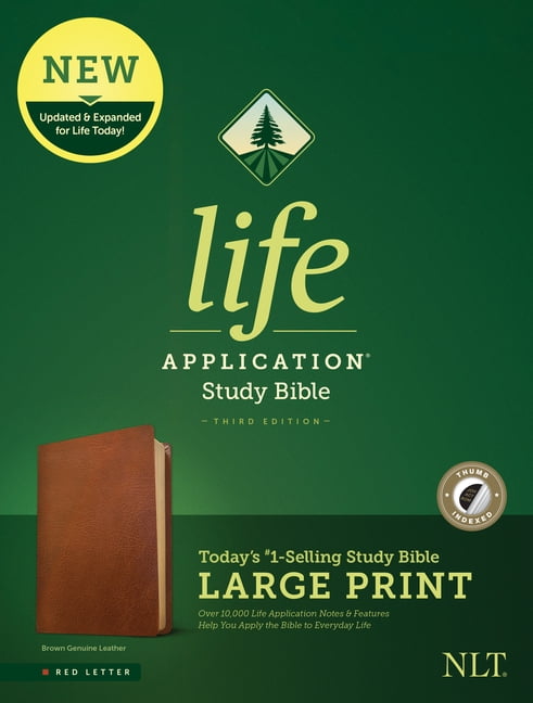洋書 Student Life Application Study Bible NLT Student Life Application Bible Review | Create With Joy