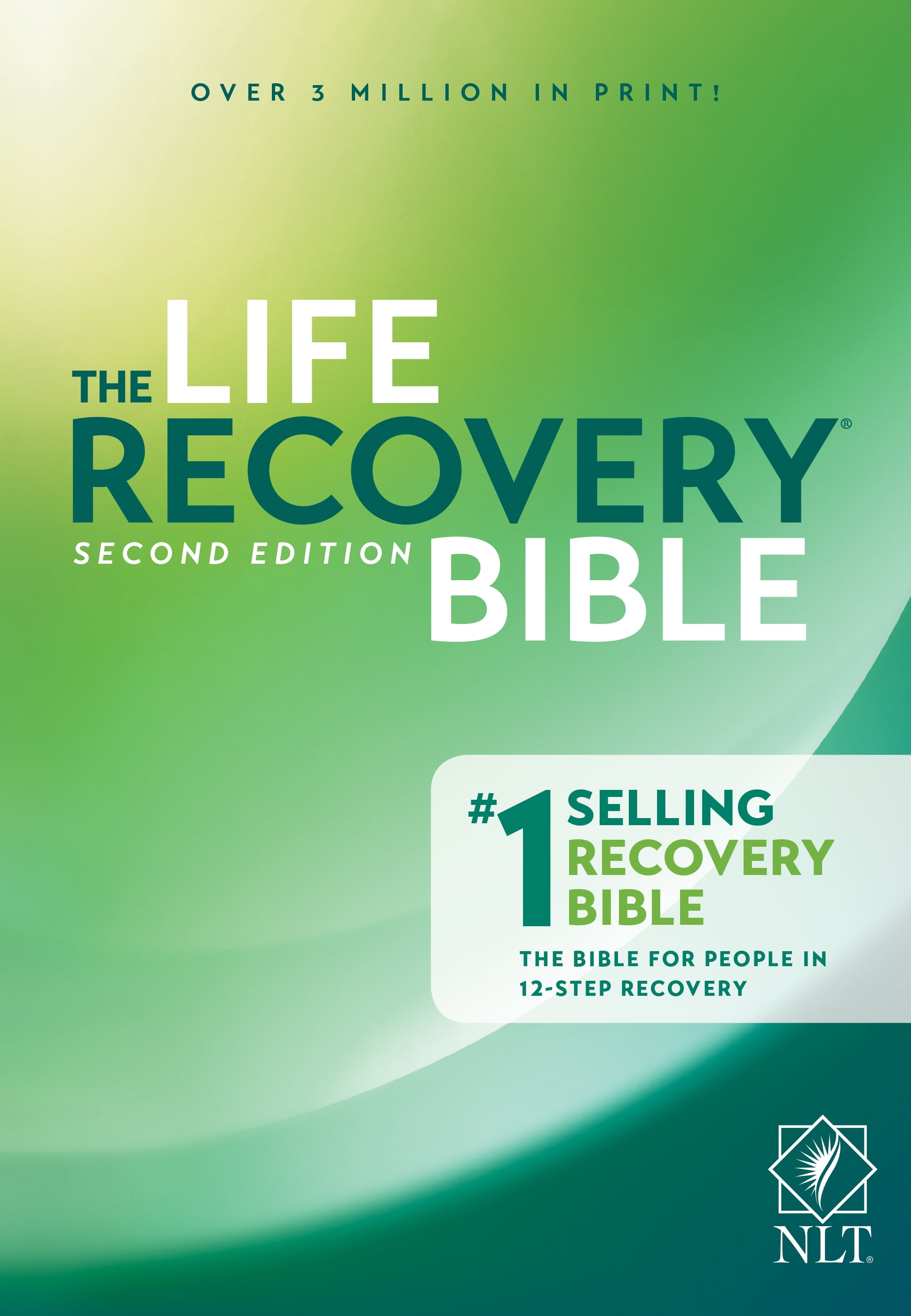 STEPHEN ARTERBURN; DR DAVID STOOP NLT Life Recovery Bible, Second Edition (Softcover) (Paperback)