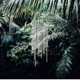 thumbnail image 1 of NM1, 1 of 1