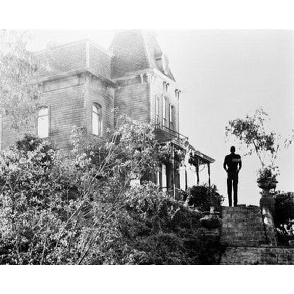 NO FRAME Psycho Movie Poster, Film Fan Collectibles, Home Decor