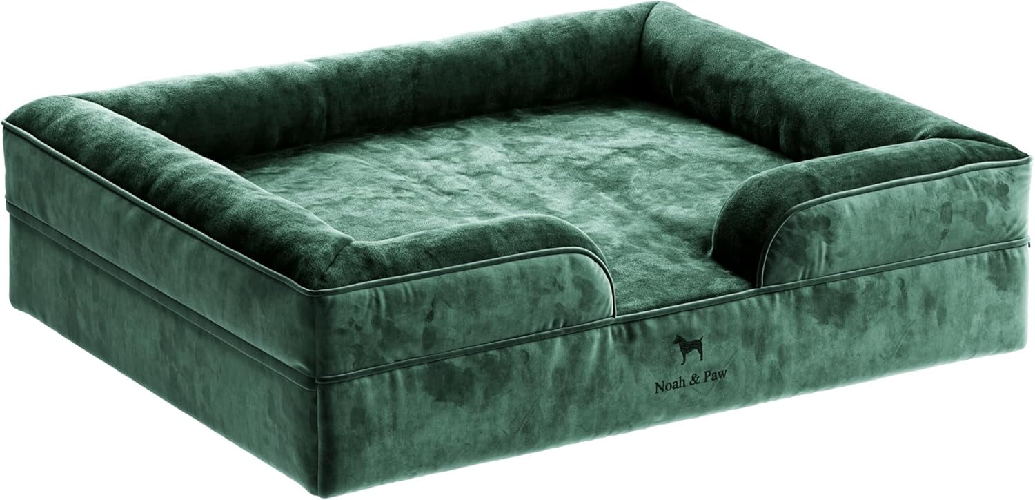 NOAH & PAW XL Dog Bed, 45x35x11 Inch, Orthopedic Large Dog Beds, Eggshell Memory Foam Infused with Cooling Gel, Waterproof, Machine Washable, Includes Inner Cover (Velvet Collection)