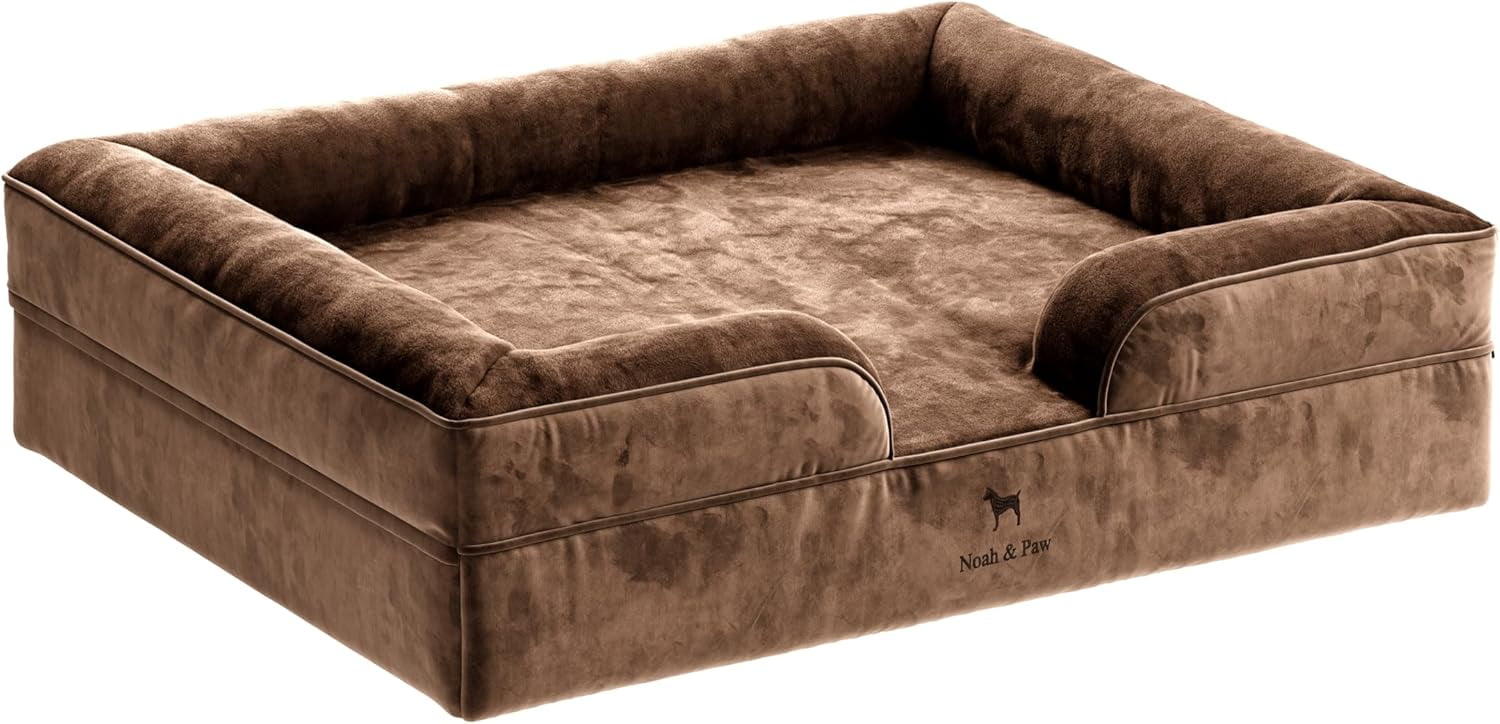 NOAH & PAW XL Dog Bed, 45x35x11 Inch, Orthopedic Large Dog Beds, Eggshell Memory Foam Infused with Cooling Gel, Waterproof, Machine Washable, Includes Inner Cover (Velvet Collection)